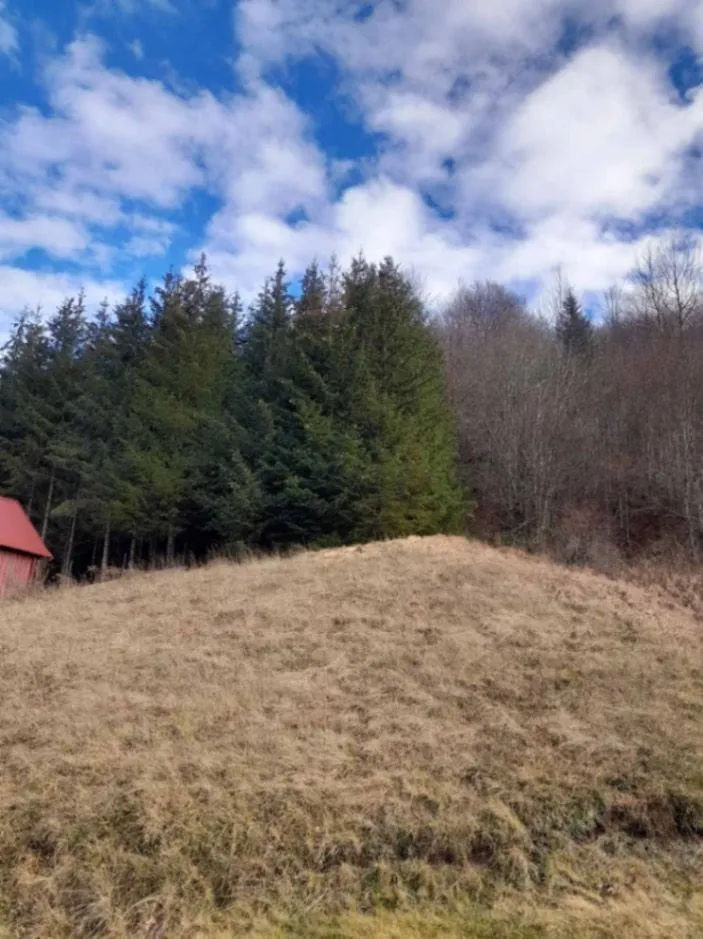 Prodaja, plac, 800m², Veruša, Podgorica