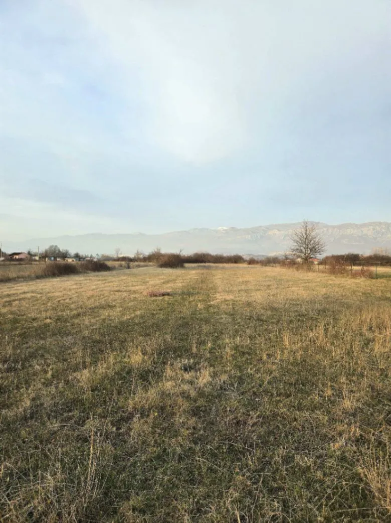 Prodaja, plac, 7430m², Novo Selo, Danilovgrad