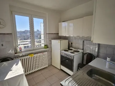 Rent, one bedroom apartment, 30m², Vračar Hram, Vračar Sve Podlokacije - image 10