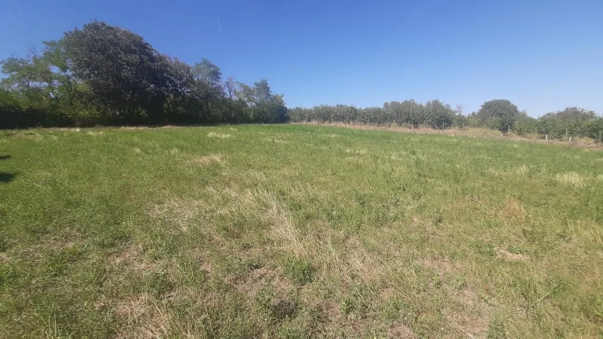 Prodaja, plac, 2800m², Petrovaradin, Novi Sad