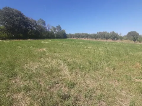 Prodaja, plac, 2800m², Petrovaradin, Novi Sad - image 3