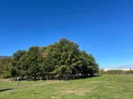 Prodaja, plac, 1258m², Ćurilac, Danilovgrad - image 2