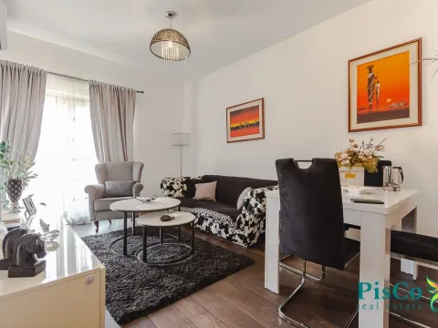 Izdavanje, jednosoban stan, 47m², Preko Morače, Podgorica - image 1