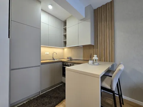 Izdavanje, stan, 26m², Zagorič, Podgorica - image 6