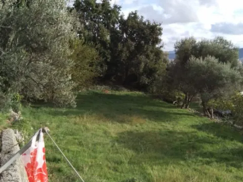 Sale, land lot, 2000m², Šušanj, Bar - image 6