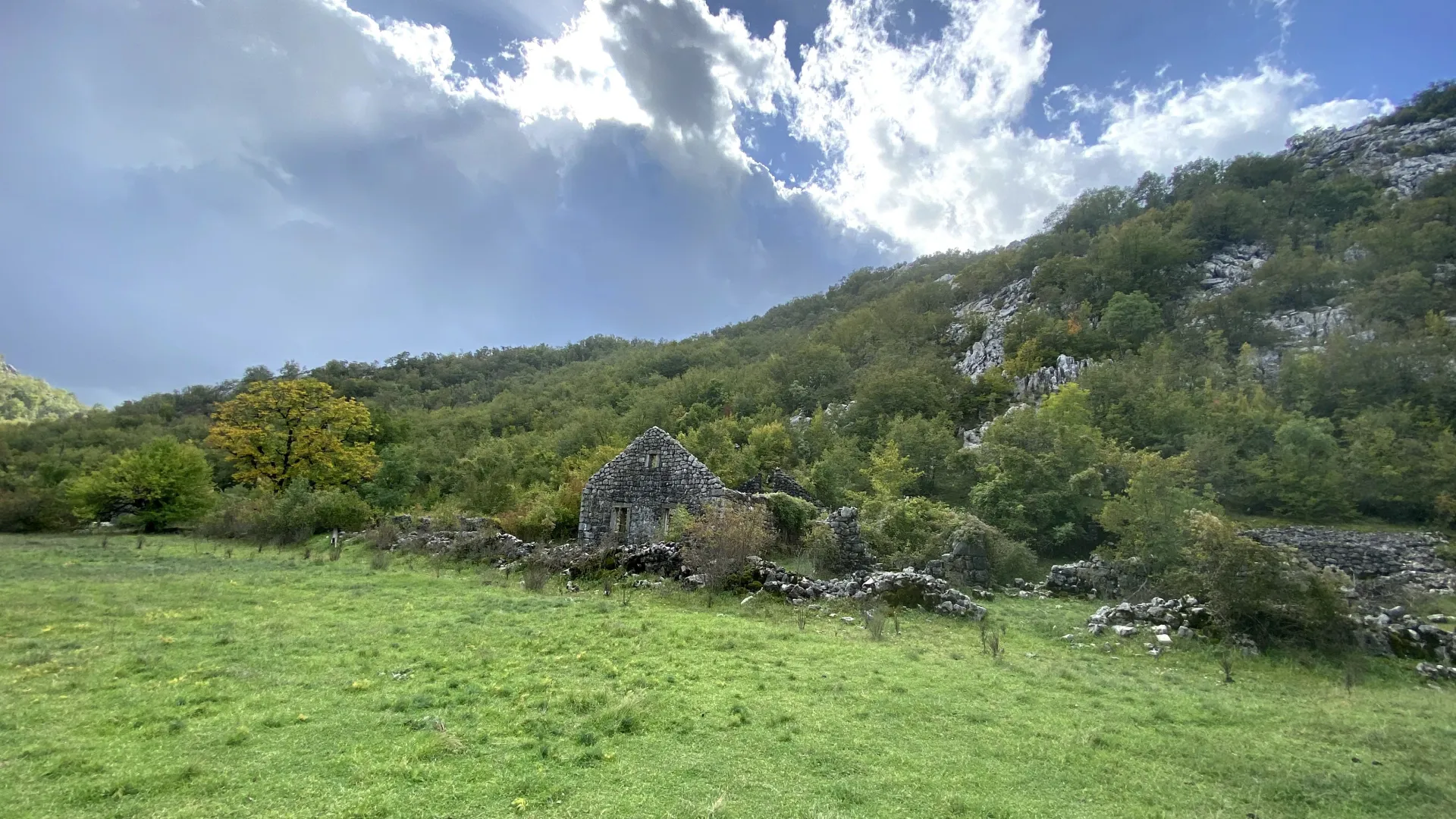 Prodaja, plac, 12000m², Grahovo, Nikšić