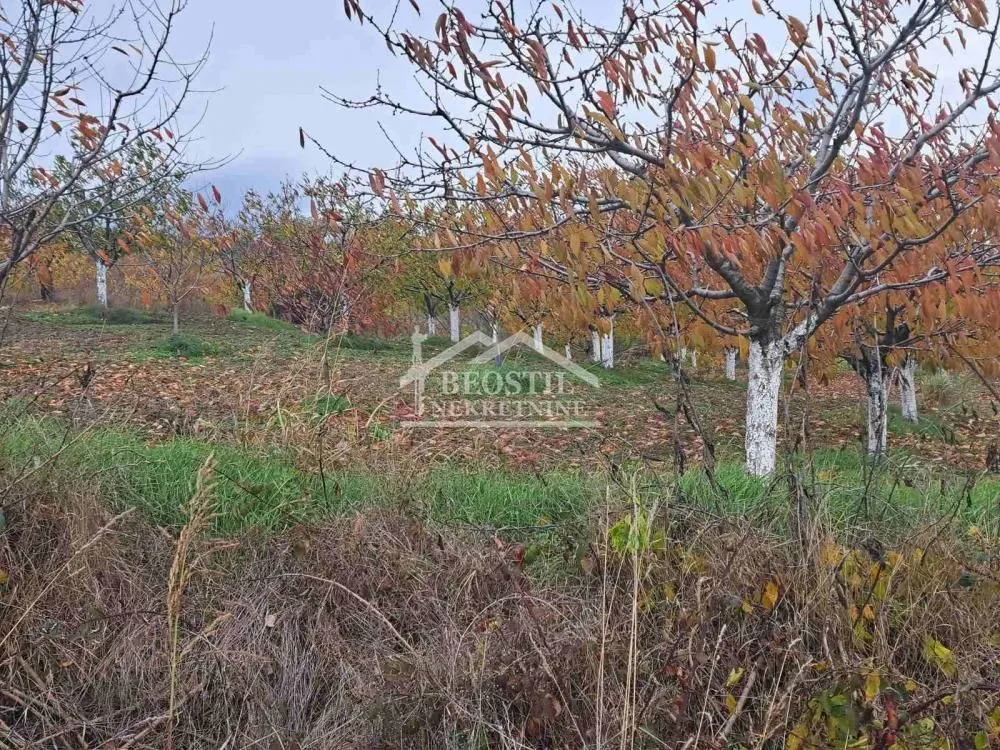 Prodaja, plac, 1450m², Ritopek, Grocka