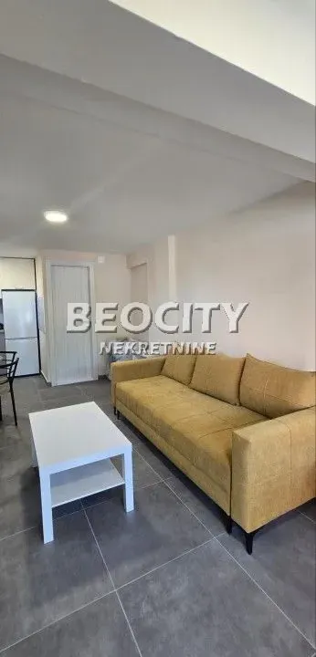 Izdavanje, jednosoban stan, 24m², Kotež, Palilula Sve Podlokacije