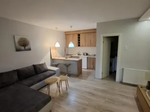 Rent, studio apartment, 30m², Adamovićevo Naselje, Novi Sad Sve Podlokacije - image 6