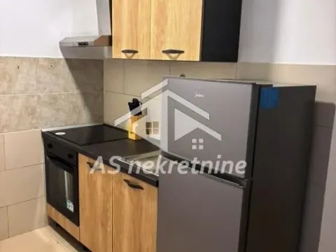 Rent, apartment, Južni Bulevar, Vračar Sve Podlokacije - image 3