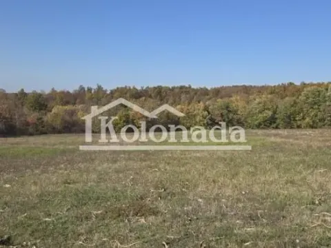 Sale, land lot, Sopot, Beograd