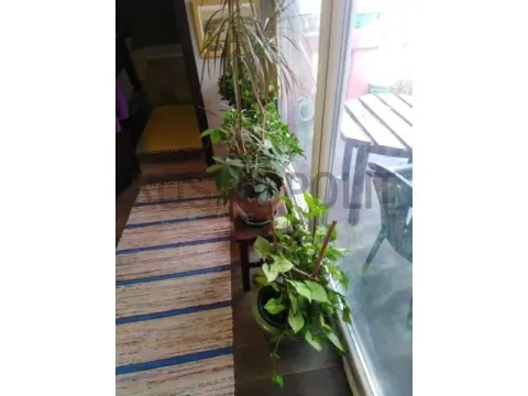 Sale, three bedroom apartment, 78m², Sarajevska, Beograd - image 7