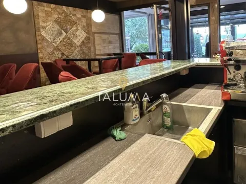 Izdavanje, poslovni prostor, 170m², Stari Aerodrom, Podgorica - image 7