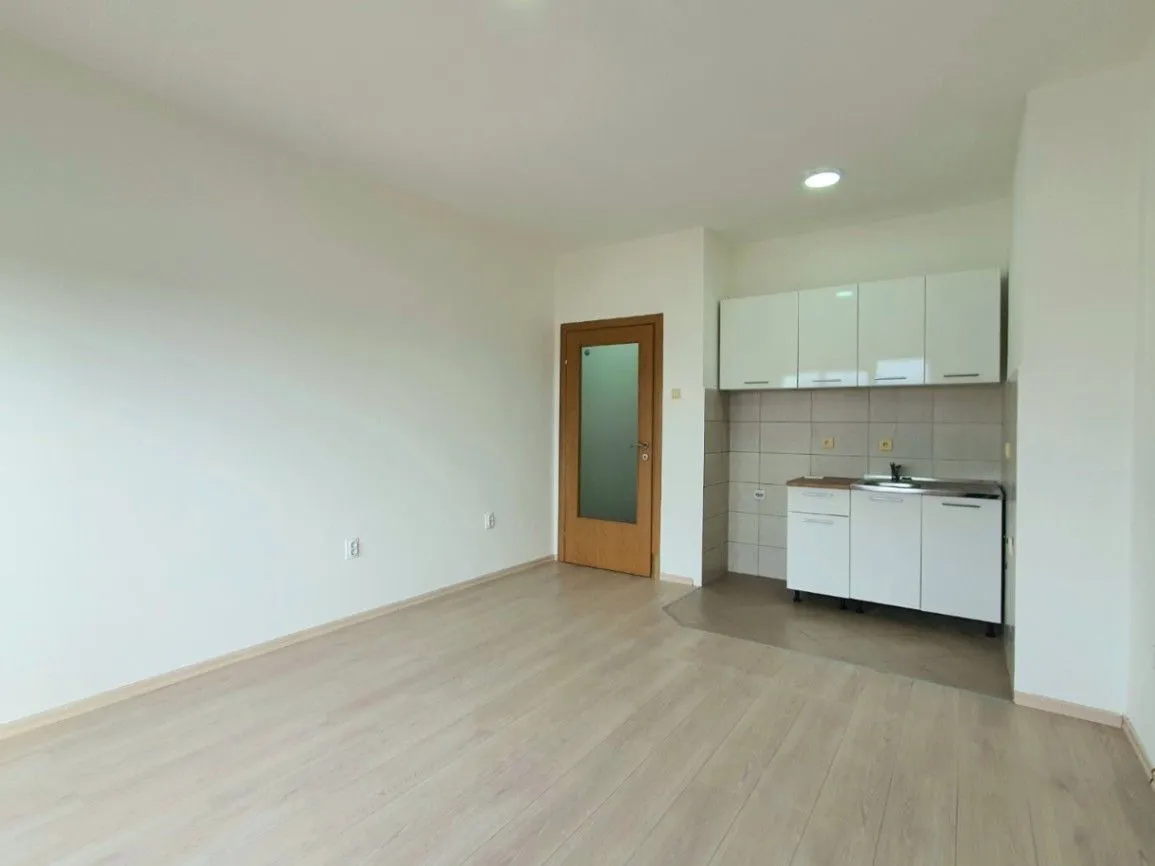 Living room with a small fitted kitchen and wooden door.