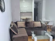 Izdavanje, jednosoban stan, 450m², Tološi, Podgorica - image 6