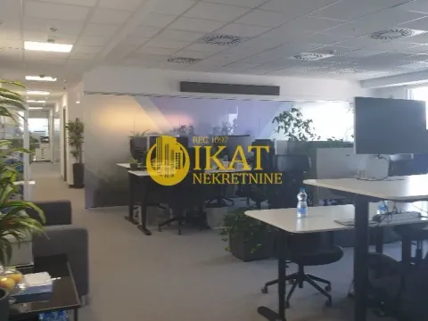 Izdavanje, poslovni prostor, 289m², Tašmajdan, Palilula Sve Podlokacije - image 4