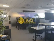 Izdavanje, poslovni prostor, 289m², Tašmajdan, Palilula Sve Podlokacije - image 4