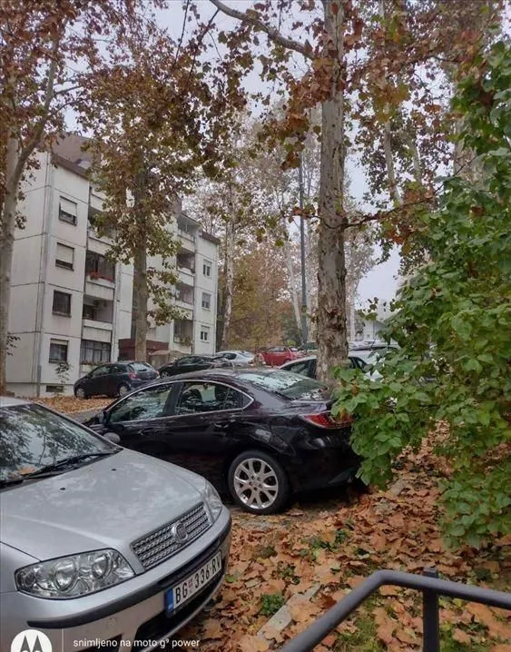 Rent, three bedroom apartment, 55m², Zvezdara Sve Podlokacije, Beograd