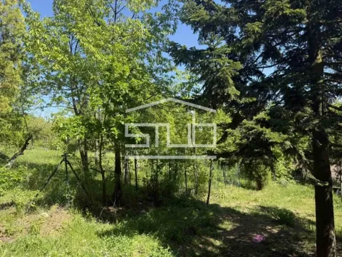 Sale, house, 205m², Sopot, Beograd - image 3
