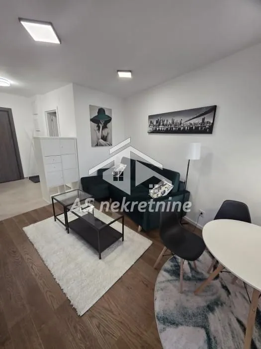 Izdavanje, stan, 40m², Hala Pionir, Palilula Sve Podlokacije