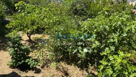 Sale, house, 170m², Bar, Crna Gora - image 2
