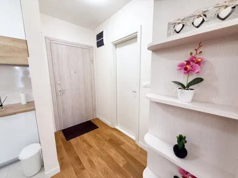 Izdavanje, jednosoban stan, 40m², Central Point, Podgorica - image 3