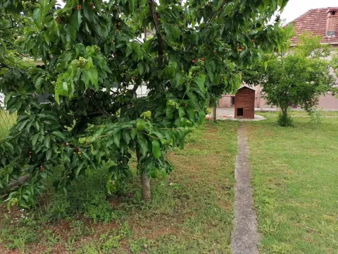 Prodaja, kuća, 190m², Podgorica, Crna Gora - image 3