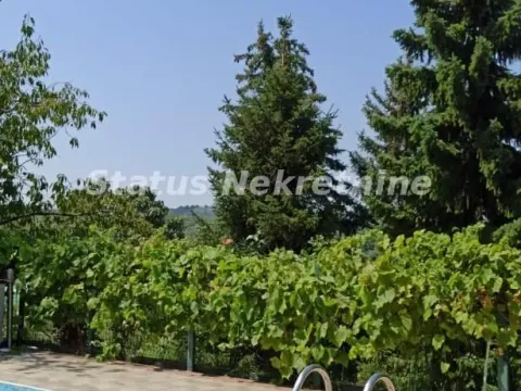 Prodaja, kuća, 322m², Ledinci, Petrovaradin - image 8