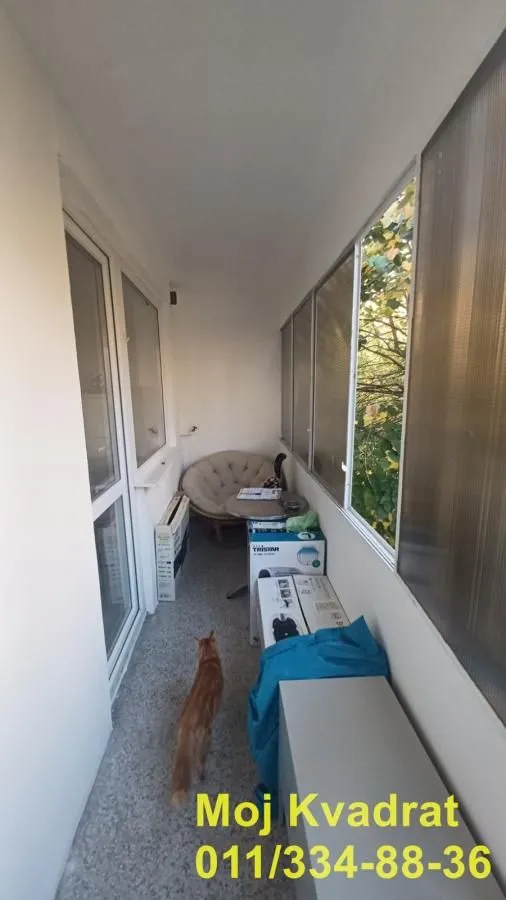 Zastakljeni balkon sa prozorima i mačkom na podu.