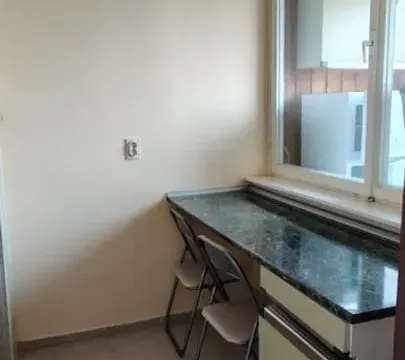 Rent, one bedroom apartment, 30m², Liman 3, Novi Sad Sve Podlokacije - image 6