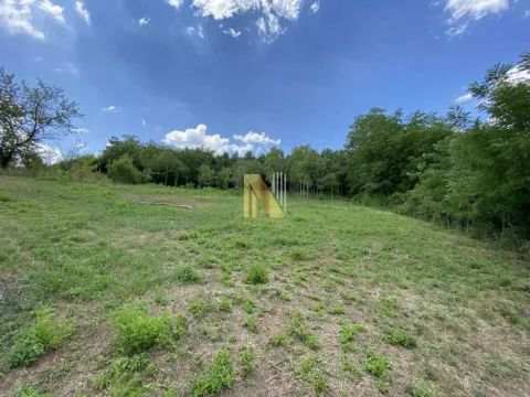 Sale, land lot, 5347m², Sremski Karlovci, Novi Sad - image 7