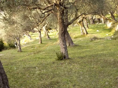 Prodaja, plac, 9409m², Bar, Crna Gora - image 5