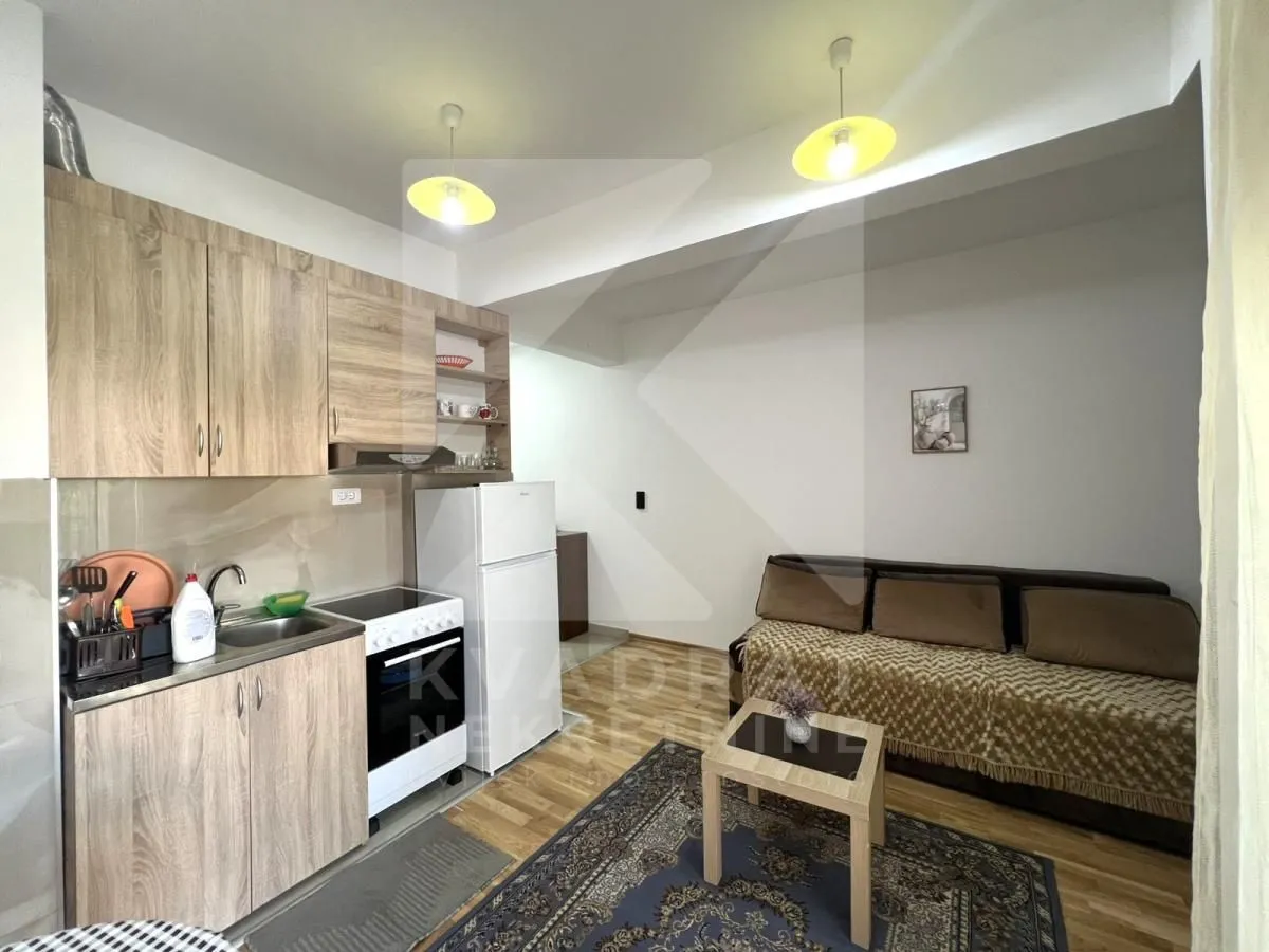 Izdavanje, garsonjera, 24m², Zabjelo, Podgorica