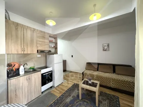 Izdavanje, garsonjera, 24m², Zabjelo, Podgorica - image 4