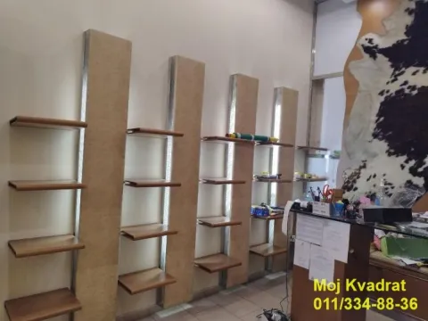 Izdavanje, poslovni prostor, 170m², Botanička Bašta, Palilula Sve Podlokacije - image 7