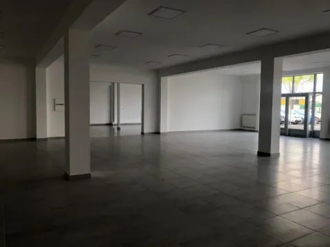 Izdavanje, poslovni prostor, 660m², Zemun Nova Galenika, Zemun Sve Podlokacije - image 10