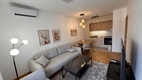 Rent, one bedroom apartment, 39m², Tološi, Podgorica - image 2