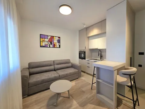 Rent, apartment, 22m², Zabjelo, Podgorica - image 3
