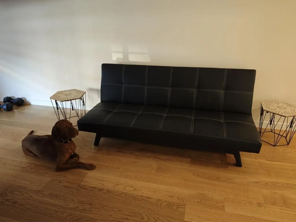 Izdavanje, jednosoban stan, 50m², Central Point, Podgorica