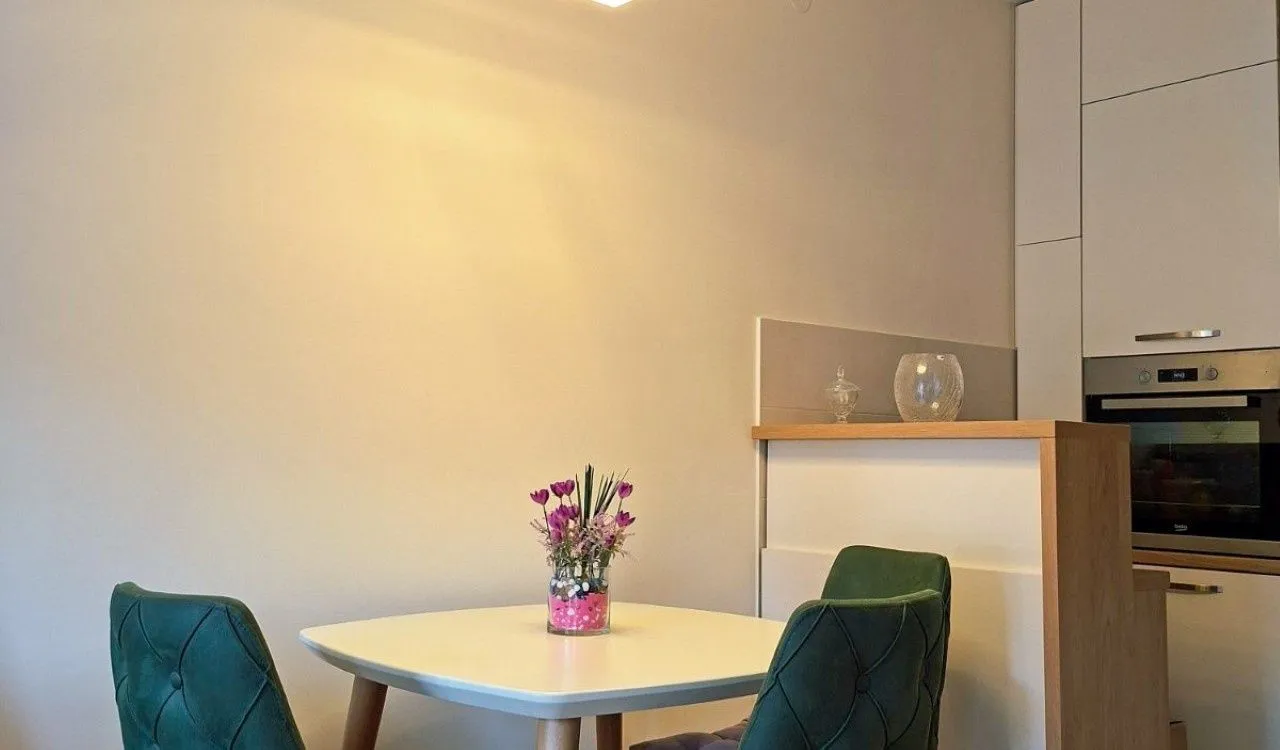 Izdavanje, jednosoban stan, 50m², Tuški Put, Podgorica