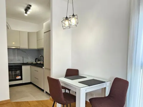 Rent, one bedroom apartment, 48m², New City, Podgorica - image 4