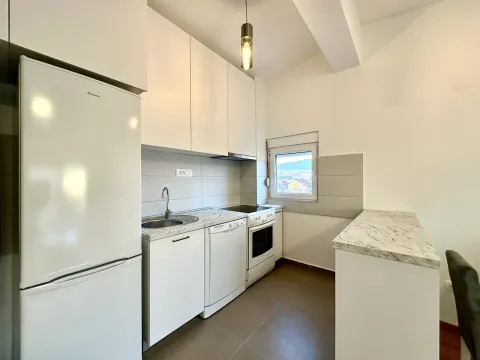 Izdavanje, jednosoban stan, 50m², Zagorič, Podgorica - image 4