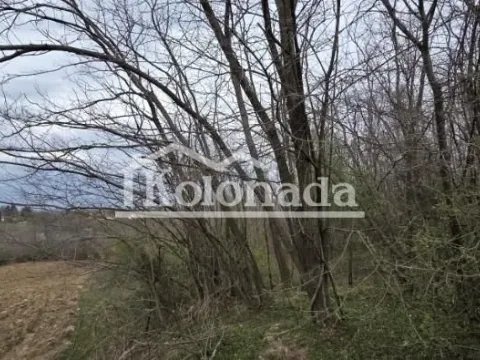 Prodaja, plac, 3329m², Nemenikuće, Sopot - image 4