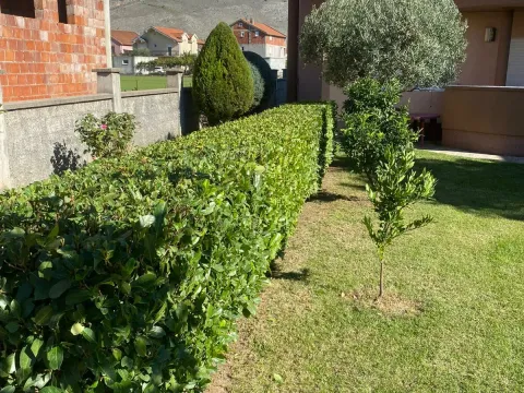 Rent, house, 250m², Karaburško Polje, Podgorica - image 21