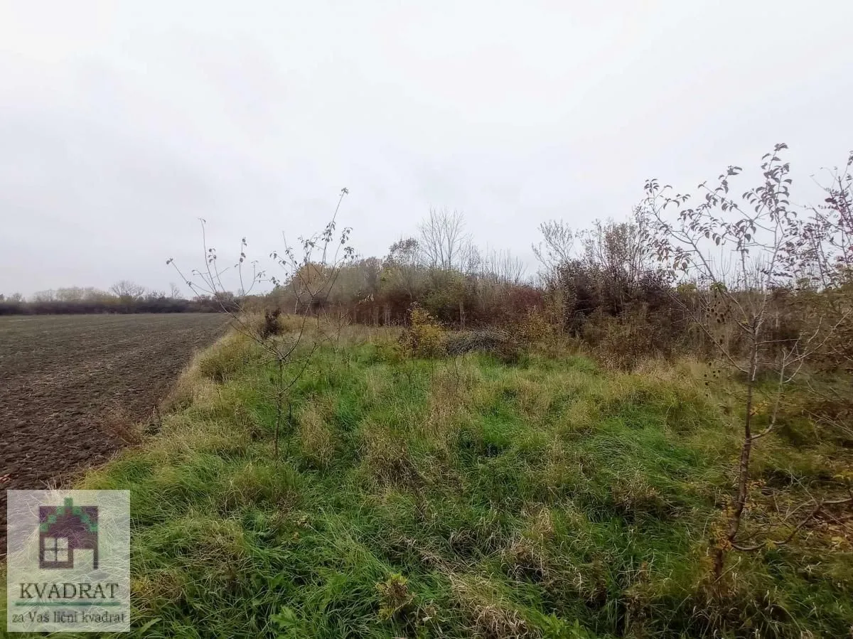 Prodaja, plac, 2200m², Piroman, Obrenovac