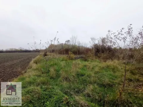 Prodaja, plac, 2200m², Piroman, Obrenovac - image 6