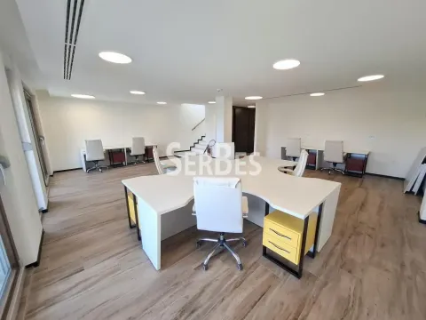 Rent, office space, 314m², Liman 3, Novi Sad Sve Podlokacije - image 13