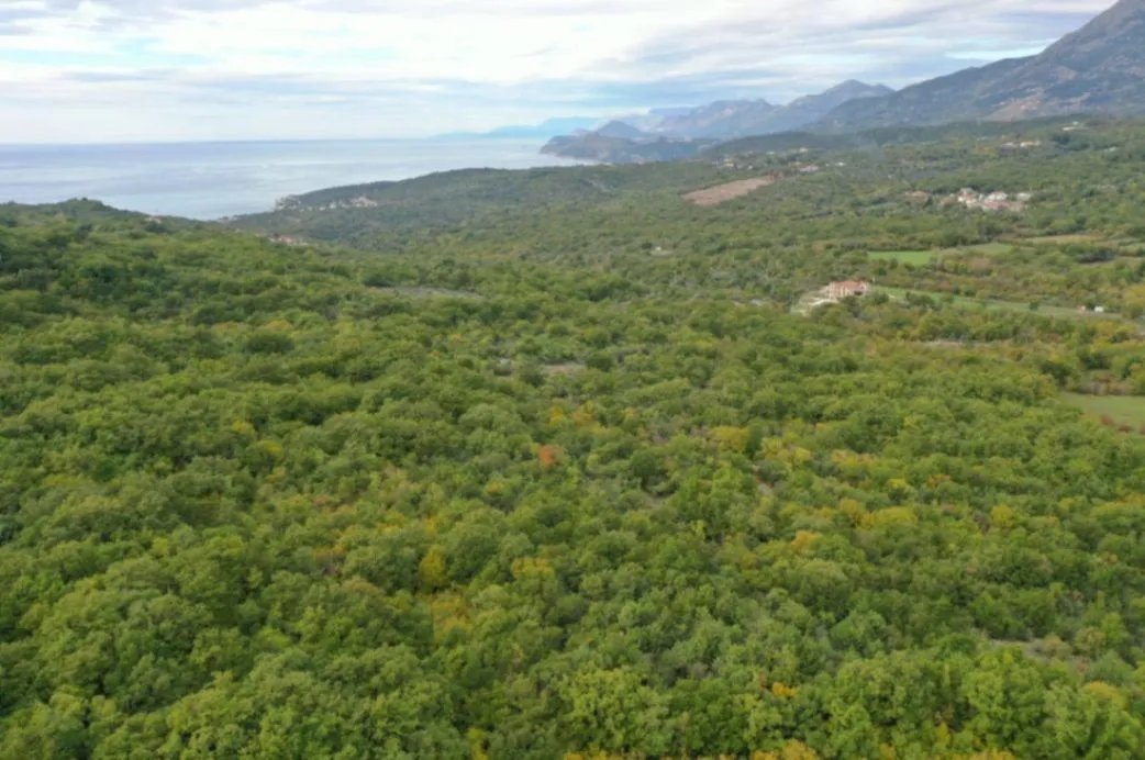 Sale, land lot, 15000m², Velja Gorana, Bar