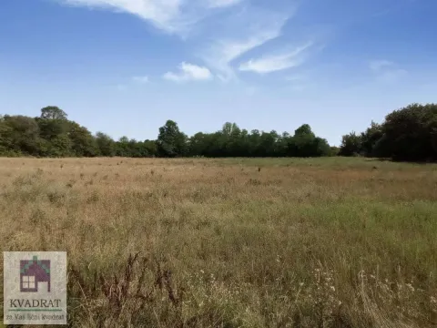 Prodaja, plac, 7200m², Draževac, Obrenovac - image 4