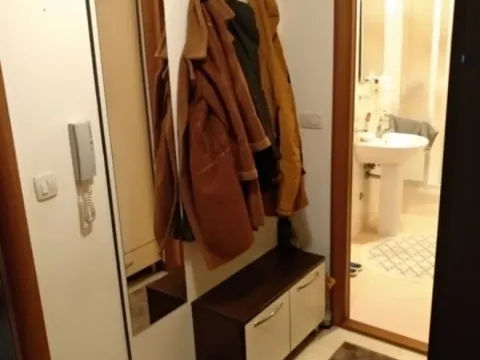 Izdavanje, jednosoban stan, 45m², Stari Aerodrom, Podgorica - image 3